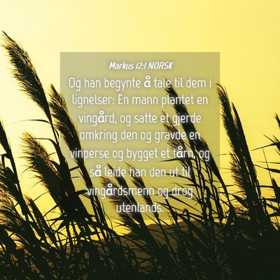 Picture 04 - Markus 12:1 NORSK - Og han begynte å tale til dem i lignelser: En - Bible Verse Picture