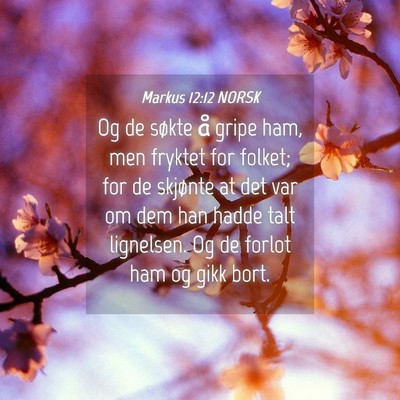 Picture 04 - Markus 12:12 NORSK - Og de søkte å gripe ham, men fryktet for - Bible Verse Picture