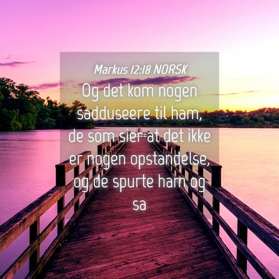 Picture 04 - Markus 12:18 NORSK - Og det kom nogen sadduseere til ham, de som sier - Bible Verse Picture