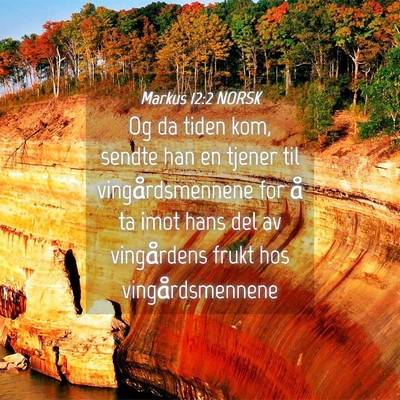 Picture 04 - Markus 12:2 NORSK - Og da tiden kom, sendte han en tjener til - Bible Verse Picture