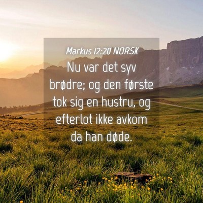Picture 04 - Markus 12:20 NORSK - Nu var det syv brødre; og den første tok sig en - Bible Verse Picture