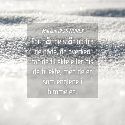 Picture 04 - Markus 12:25 NORSK - For når de står op fra de døde, da hverken tar - Bible Verse Picture