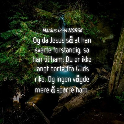 Picture 04 - Markus 12:34 NORSK - Og da Jesus så at han svarte forstandig, sa han - Bible Verse Picture