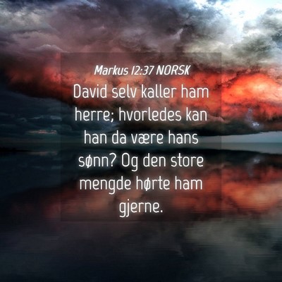 Picture 04 - Markus 12:37 NORSK - David selv kaller ham herre; hvorledes kan han da - Bible Verse Picture