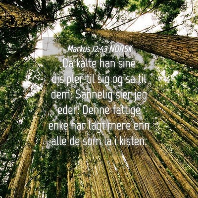 Picture 04 - Markus 12:43 NORSK - Da kalte han sine disipler til sig og sa til dem: - Bible Verse Picture