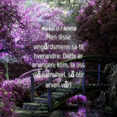 Picture 04 - Markus 12:7 NORSK - Men disse vingårdsmenn sa til hverandre: Dette - Bible Verse Picture