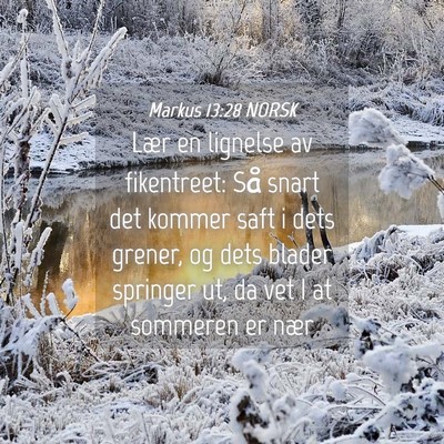 Picture 04 - Markus 13:28 NORSK - Lær en lignelse av fikentreet: Så snart det - Bible Verse Picture