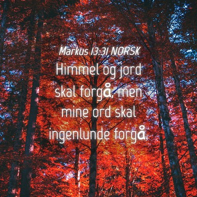 Picture 04 - Markus 13:31 NORSK - Himmel og jord skal forgå, men mine ord skal - Bible Verse Picture