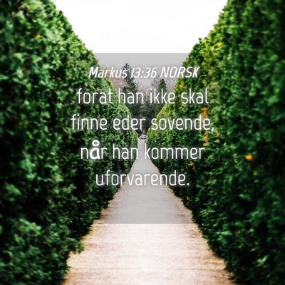 Picture 04 - Markus 13:36 NORSK - forat han ikke skal finne eder sovende, når han - Bible Verse Picture
