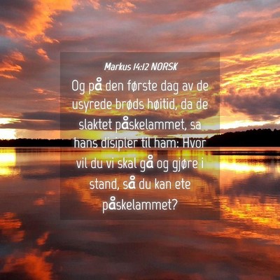 Picture 04 - Markus 14:12 NORSK - Og på den første dag av de usyrede brøds - Bible Verse Picture