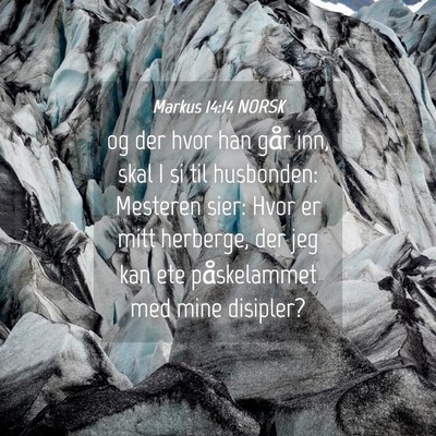 Picture 04 - Markus 14:14 NORSK - og der hvor han går inn, skal I si til - Bible Verse Picture