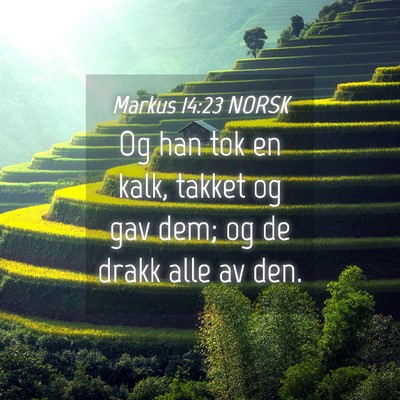 Picture 04 - Markus 14:23 NORSK - Og han tok en kalk, takket og gav dem; og de - Bible Verse Picture