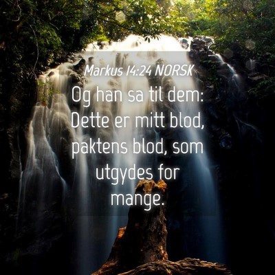 Picture 04 - Markus 14:24 NORSK - Og han sa til dem: Dette er mitt blod, paktens - Bible Verse Picture