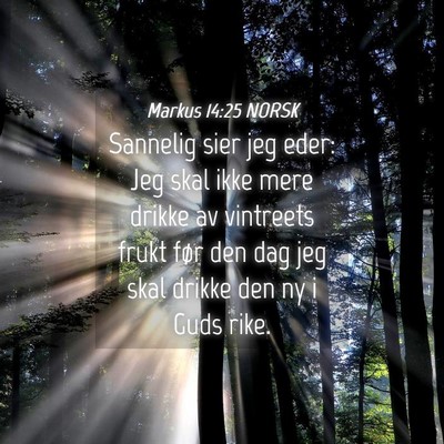 Picture 04 - Markus 14:25 NORSK - Sannelig sier jeg eder: Jeg skal ikke mere drikke - Bible Verse Picture