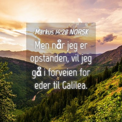 Picture 04 - Markus 14:28 NORSK - Men når jeg er opstanden, vil jeg gå i forveien - Bible Verse Picture
