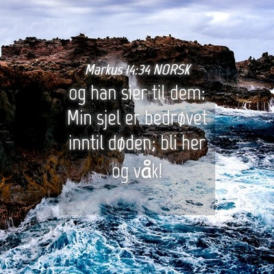 Picture 04 - Markus 14:34 NORSK - og han sier til dem: Min sjel er bedrøvet inntil - Bible Verse Picture