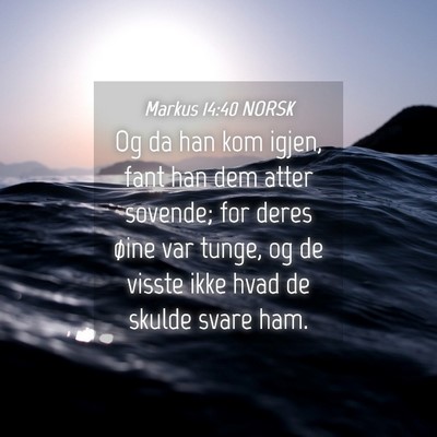 Picture 04 - Markus 14:40 NORSK - Og da han kom igjen, fant han dem atter sovende; - Bible Verse Picture