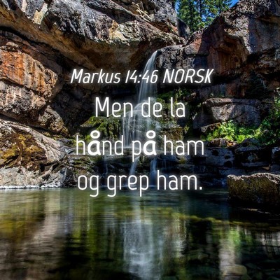 Picture 04 - Markus 14:46 NORSK - Men de la hånd på ham og grep - Bible Verse Picture