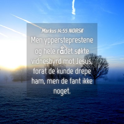 Picture 04 - Markus 14:55 NORSK - Men yppersteprestene og hele rådet søkte - Bible Verse Picture