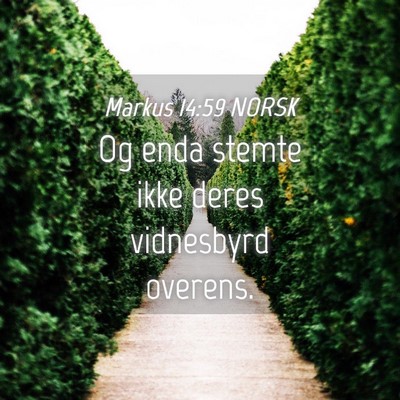 Picture 04 - Markus 14:59 NORSK - Og enda stemte ikke deres vidnesbyrd - Bible Verse Picture