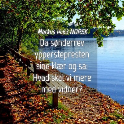 Picture 04 - Markus 14:63 NORSK - Da sønderrev ypperstepresten sine klær og sa: - Bible Verse Picture