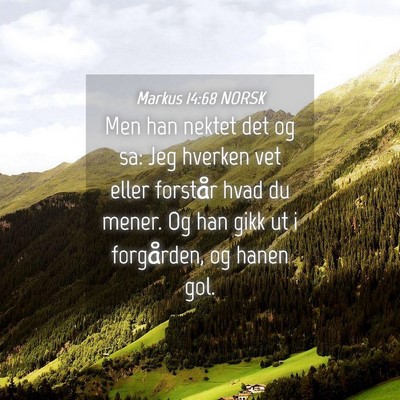 Picture 04 - Markus 14:68 NORSK - Men han nektet det og sa: Jeg hverken vet eller - Bible Verse Picture