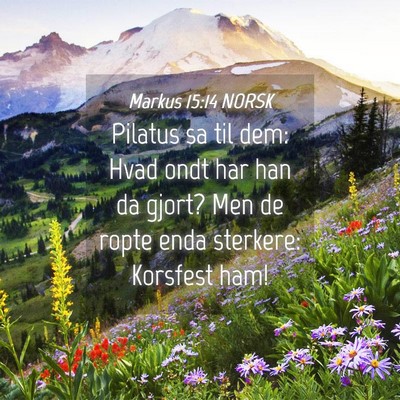 Picture 04 - Markus 15:14 NORSK - Pilatus sa til dem: Hvad ondt har han da gjort? - Bible Verse Picture