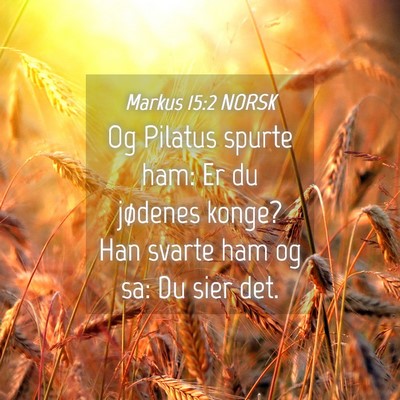 Picture 04 - Markus 15:2 NORSK - Og Pilatus spurte ham: Er du jødenes konge? Han - Bible Verse Picture
