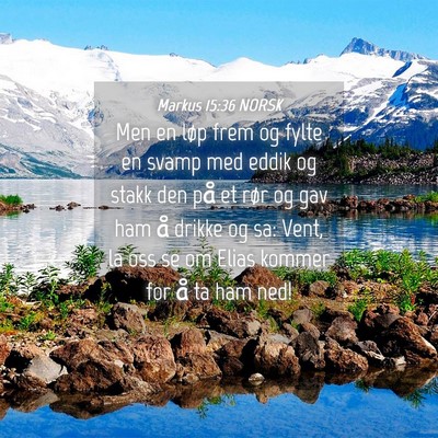Picture 04 - Markus 15:36 NORSK - Men en løp frem og fylte en svamp med eddik og - Bible Verse Picture