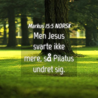 Picture 04 - Markus 15:5 NORSK - Men Jesus svarte ikke mere, så Pilatus undret - Bible Verse Picture