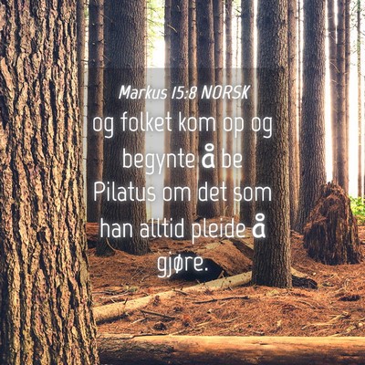Picture 04 - Markus 15:8 NORSK - og folket kom op og begynte å be Pilatus om det - Bible Verse Picture