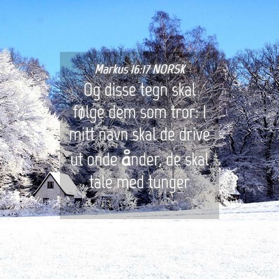 Picture 04 - Markus 16:17 NORSK - Og disse tegn skal følge dem som tror: I mitt - Bible Verse Picture
