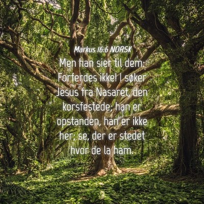 Picture 04 - Markus 16:6 NORSK - Men han sier til dem: Forferdes ikke! I søker - Bible Verse Picture