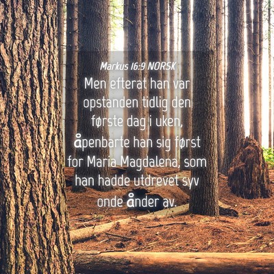 Picture 04 - Markus 16:9 NORSK - Men efterat han var opstanden tidlig den første - Bible Verse Picture