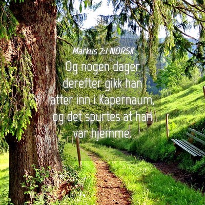 Picture 04 - Markus 2:1 NORSK - Og nogen dager derefter gikk han atter inn i - Bible Verse Picture