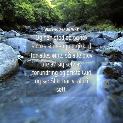 Picture 04 - Markus 2:12 NORSK - Og han stod op og tok straks sin seng og gikk ut - Bible Verse Picture