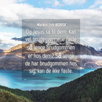 Picture 04 - Markus 2:19 NORSK - Og Jesus sa til dem: Kan vel brudesvennene faste - Bible Verse Picture