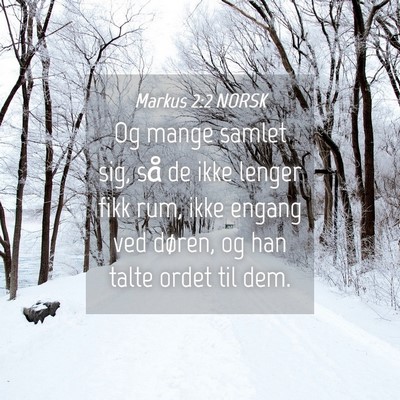 Picture 04 - Markus 2:2 NORSK - Og mange samlet sig, så de ikke lenger fikk rum, - Bible Verse Picture