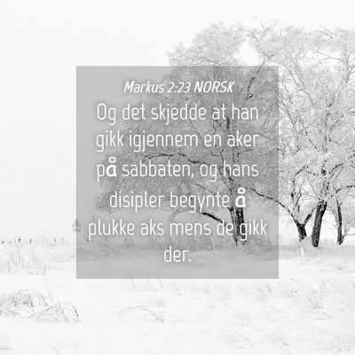 Picture 04 - Markus 2:23 NORSK - Og det skjedde at han gikk igjennem en aker på - Bible Verse Picture