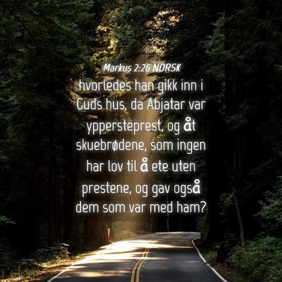 Picture 04 - Markus 2:26 NORSK - hvorledes han gikk inn i Guds hus, da Abjatar var - Bible Verse Picture