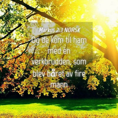 Picture 04 - Markus 2:3 NORSK - Og de kom til ham med en verkbrudden, som blev - Bible Verse Picture