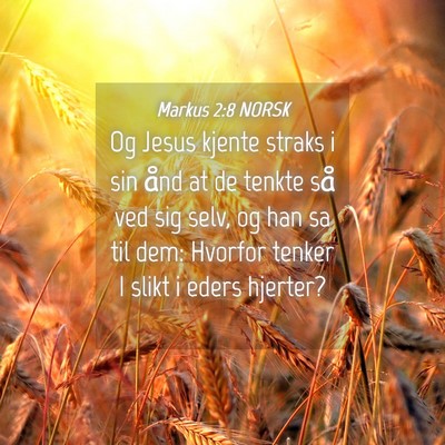 Picture 04 - Markus 2:8 NORSK - Og Jesus kjente straks i sin ånd at de tenkte - Bible Verse Picture
