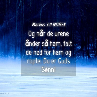 Picture 04 - Markus 3:11 NORSK - Og når de urene ånder så ham, falt de ned for - Bible Verse Picture