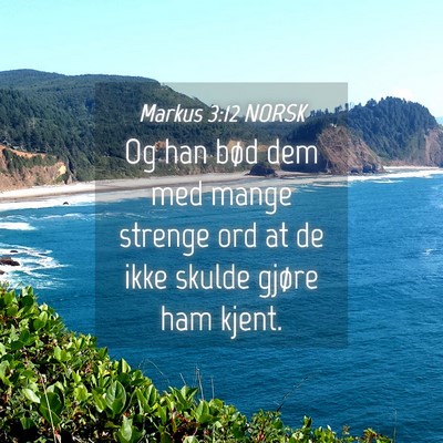 Picture 04 - Markus 3:12 NORSK - Og han bød dem med mange strenge ord at de ikke - Bible Verse Picture