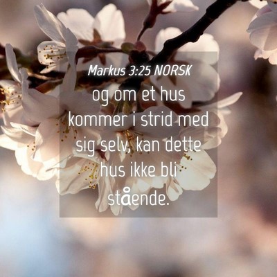 Picture 04 - Markus 3:25 NORSK - og om et hus kommer i strid med sig selv, kan - Bible Verse Picture