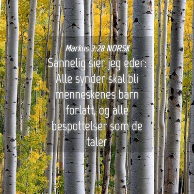 Picture 04 - Markus 3:28 NORSK - Sannelig sier jeg eder: Alle synder skal bli - Bible Verse Picture