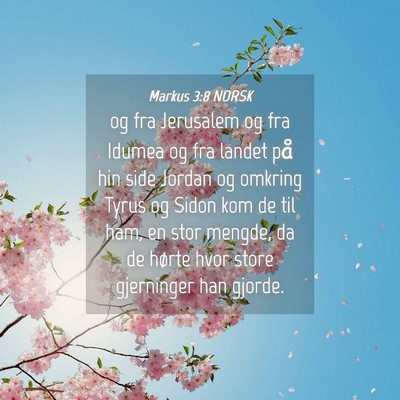 Picture 04 - Markus 3:8 NORSK - og fra Jerusalem og fra Idumea og fra landet på - Bible Verse Picture