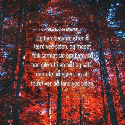Picture 04 - Markus 4:1 NORSK - Og han begynte atter å lære ved sjøen, og - Bible Verse Picture