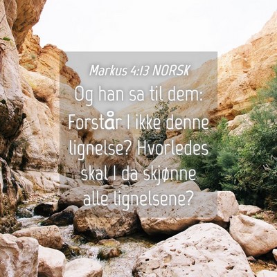 Picture 04 - Markus 4:13 NORSK - Og han sa til dem: Forstår I ikke denne - Bible Verse Picture