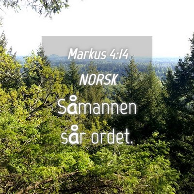 Picture 04 - Markus 4:14 NORSK - Såmannen sår - Bible Verse Picture